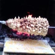 fin de cuisson, miam miam!!