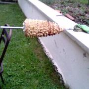 phase de refroidissement